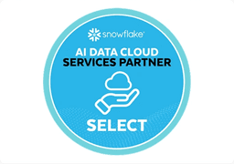 Snowflake Service Partner